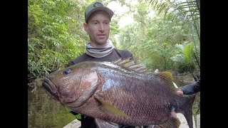 DRANCKRAZY Papuan Black Bass hunting in Indonesia [upl. by Enaz]