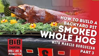 How to Smoke a Whole Hog in a Backyard Firepit  Part 3 [upl. by Enriqueta]