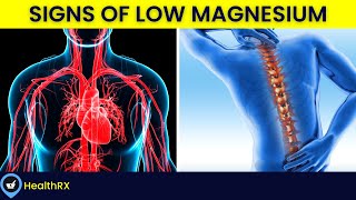 Truth Behind Low Magnesium Levels [upl. by Cher464]