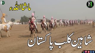 Stallion of Punjab Shaheen Club of Pakistan I Sawa Ghora I Mushka Ghora I Ghora Kakah I Ghora Nukra [upl. by Giorgio]