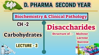 Disaccharides  Maltose  Lactose  Sucrose  Ch2  L3  Carbohydrates  DPharm second year [upl. by Kirst]