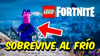 ✅ Como sobrevivir al FRÍO Bioma de hielo en LEGO Fortnite  Guía y Tips [upl. by Eveineg570]