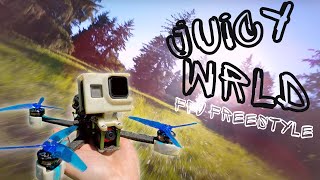 JUICY WRLD  CHILL 4K FPV Freestyle Drone Flight Footage  PropabilityFPV [upl. by Dnalor]