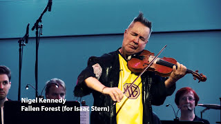 Nigel Kennedy feat DKO Berlin  Fallen Forest Live Music Video  My World [upl. by Dougall144]