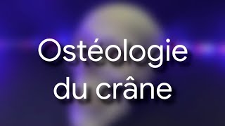 Ostéologie du crâne [upl. by Lomaj]