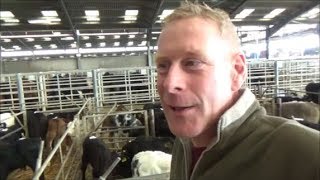 Visit to Sedgemoor Marketcattle calves sheep amp chickens [upl. by Onitram]