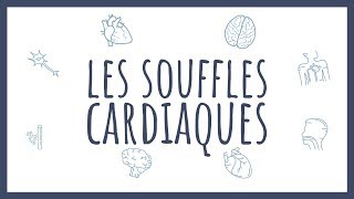 Sémiologie Cardiaque  Les Souffles [upl. by Jonathon]