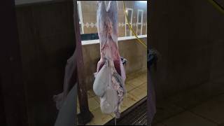 goat mutton best cutting skill amazing goatprocessing worksorts video 🤯🤯 [upl. by Hesta]