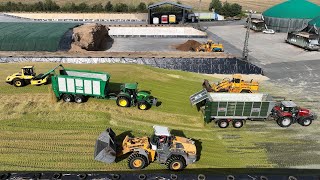 Maishäckseln 2023 Großeinsatz mit 30 Traktoren bei der Maisernte für Biogas  Landwirtschaft [upl. by Troc647]