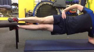 930 Adductor  Copenhagen Adductor Exercise [upl. by Mohorva29]