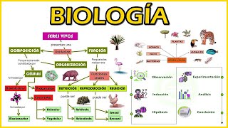 BIOLOGIA Definición Método Científico Seres Vivos Niveles de organización Composición Química [upl. by Juno99]