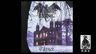 Malignant Eternal  Tårnet Full Album [upl. by Anitnemelc]