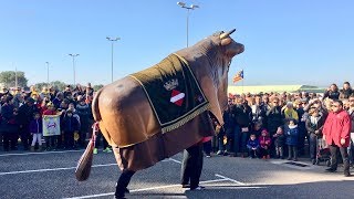 El Bou Tradicional La Mulassa de Valls i els Gegants de la Riba [upl. by Rasec671]