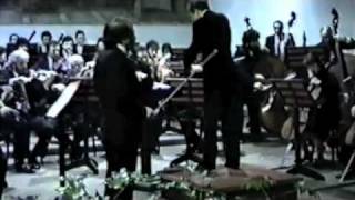 Beethoven Violin Concerto  Ruggiero Ricci  1st Movement Part A [upl. by Repmek]