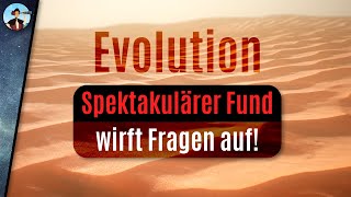 Etwas stimmt nicht mit unserer Evolutionstheorie [upl. by Enifesoj]