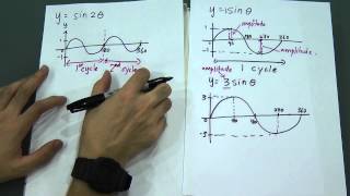 Trigonometric Function Sin Graph [upl. by Anemaj]