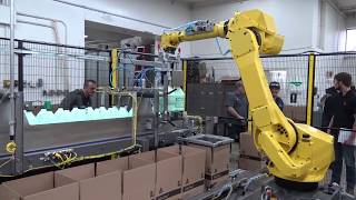 Hamrick Manufacturing  CP10R Robotic Case Packing Cell w FANUC 710iC Robot HD [upl. by Erhart]