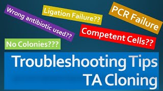 TA Cloning  Overview Troubleshooting Tips and Tricks for achieving successful cloning experiment [upl. by Nohpets]