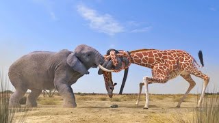 Elephant vs Giraffe Water Fight  Every object  Elephant fight Fighting giraffesElephant giraffe [upl. by Beshore]