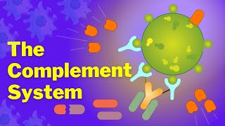 The Complement System is SO EASY Stop Making it Hard [upl. by Eejan]