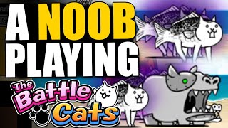 NOOB TO PRO 70  THE CRAZED FISH CAT STAGE  The Battle Cats [upl. by Reina]