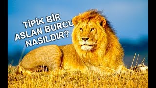 Aslan Burcu nasıldır Tipik aslan burcu işte bu [upl. by Aldon]