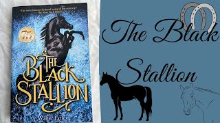 The Black Stallion Book Summery [upl. by Wandie388]