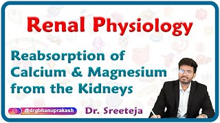 Reabsorption Of Calcium amp Magnesium from the Kidneys  Renal physiology USMLE Step 1 [upl. by Julietta]