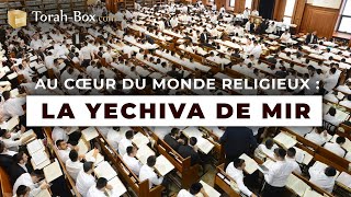 Au cœur du monde juif religieux  LA YECHIVA MIR [upl. by Gentes142]