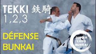 Tekki Shodan Nidan et Sandan Défense Bunkai par Didier LUPO [upl. by Hilbert]