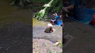 Fishing Videos Máy Kích Cá Mạnh Nhất Hiện Nay shorts kichca fishingvideos [upl. by Afatsuom645]