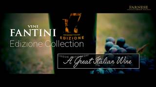 EDIZIONE COLLECTION  A great Italian wine [upl. by Flodnar]