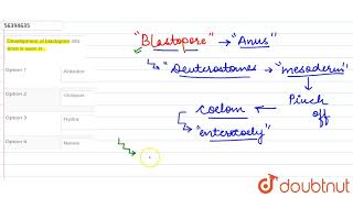 Development of blastopore into anus is seen in [upl. by Atiuqehc304]