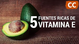 5 Fuentes Ricas de Vitamina E  Ciencia de la Comida [upl. by Eustasius877]