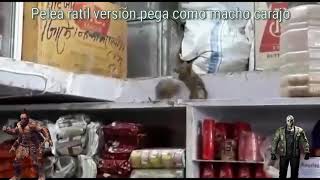 Ratones peleando en el super chino😑 PEGA COMO MACHO CARAJO [upl. by Elleirda]