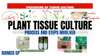 Plant Tissue Culture  Process and Steps involved [upl. by Krueger]