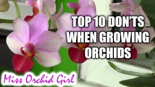 Top 10 DONTs when Growing Orchids  tips for orchid beginners [upl. by Dasie838]