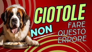 Come scegliere la ciotola del cane e dove posizionarla [upl. by Eemla331]