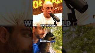 Rogan and Musk Moved by Peanut the Squirrel’s Story [upl. by Intirb259]