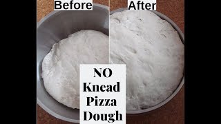 NO Knead Pizza Dough [upl. by Arenahs]