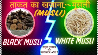 safedmusli ke fayde kaali musli aur safed musli me difference whitegold herbalmedicine josh [upl. by Htebzil]