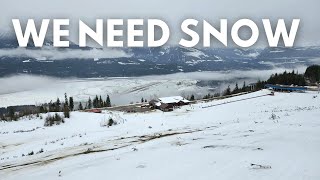 Revelstoke Snow Report 3rd February  LIVE [upl. by Nellda]