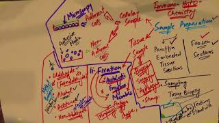 Immunohistochemistry  part 2  Sample Preparation  urdu Hindi [upl. by Aimekahs783]