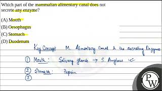 Which part of the mammalian alimentary canal does not secrete any enzyme [upl. by Aindrea]