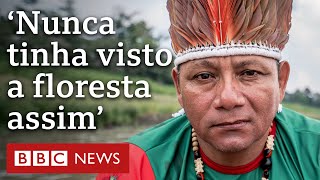 Seca histórica na Amazônia pode levar floresta a ponto de não retorno [upl. by Lorraine]