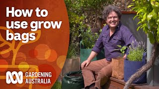 How to grow more plants and maximise space using grow bags  Gardening 101  Gardening Australia [upl. by Gaves]