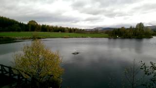 Nessie spotted in loch in Scotland [upl. by Chadabe]