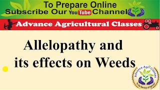 Alopathic Efect on Weeds [upl. by Ewart255]