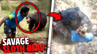 After EATING 12 People Alive This Sloth Bear Was FINALLY Caught [upl. by Galanti]