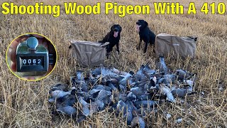 Pigeon Shooting  Shooting Wood Pigeon With A 410 Shotgun [upl. by Newmark]